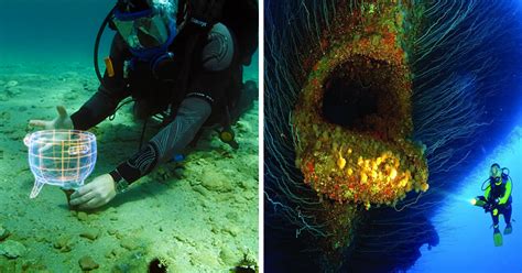 17 Photos Of Bizarre Underwater Discoveries (8 Strange Sea  .